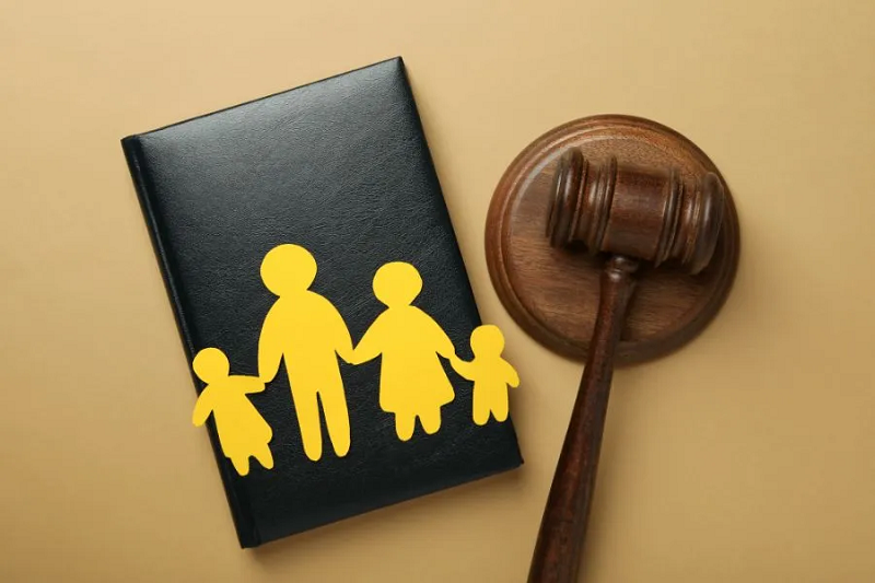 Critical Analysis Of Inheritance Rights And Impact Of Conversion