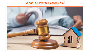Law Of Adverse Possession - Whether Might Is Right?